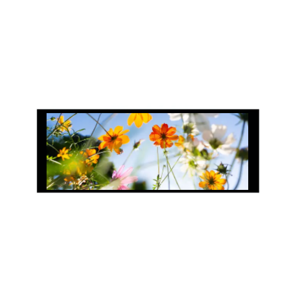 6.86 inç 480 × 1280 IPS TFT Modülü