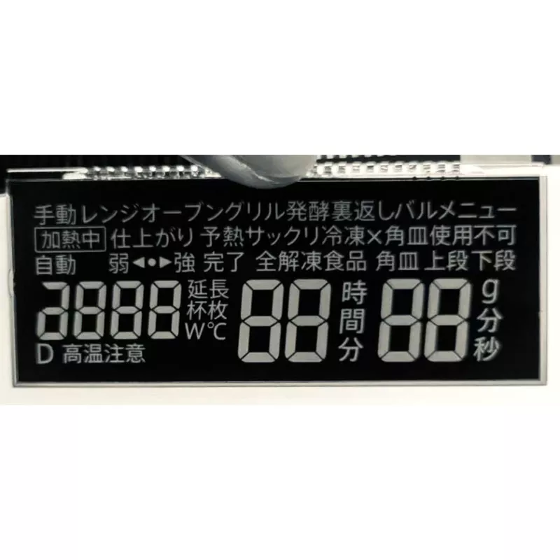 VA Segment LCD Modülü
